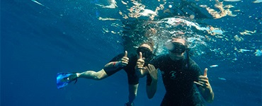 Tour Nada con Tiburon ballena en isla mujeres